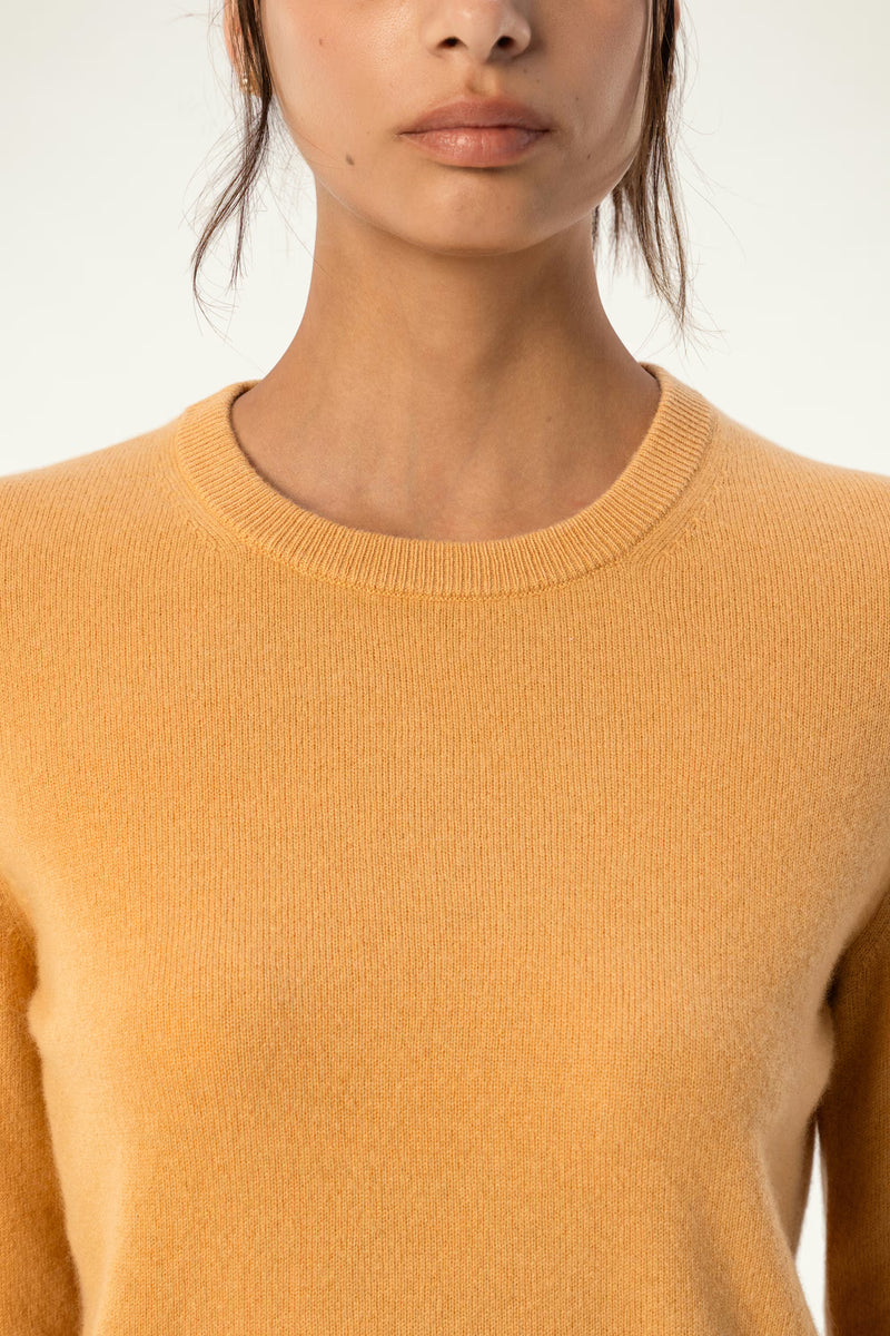 Daily 100% Cashmere Women's Crew Neck Sweater-Golden Wheat - SOLOVA MOVE