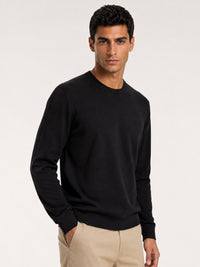 Daily 100% Cashmere Men's Crew Neck Sweater